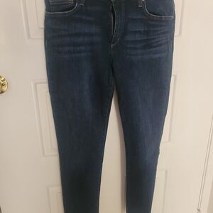 Joe's Jeans Women's Midnight Blue Skinny Jeans